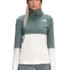 The North Face Women's Tagen 1/4 Zip Fleece