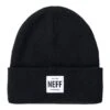 Neff Lawrence Big Bold Beanie