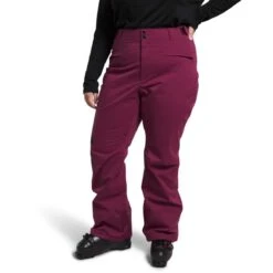 The North Face Women's Plus Freedom Stretch Pants