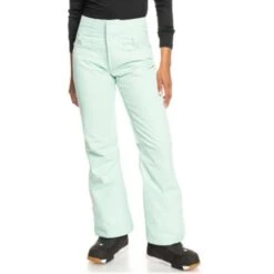 Roxy Women's Diversion Pant