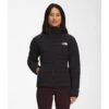 The North Face Women's Belleview Stretch Down Hoodie