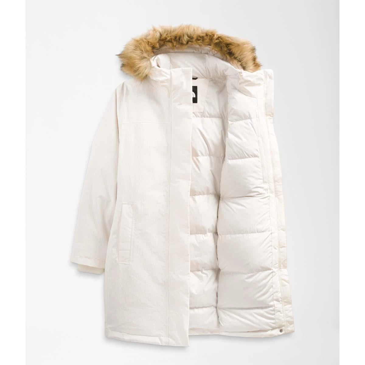 The North Face Women's Plus Arctic Parka